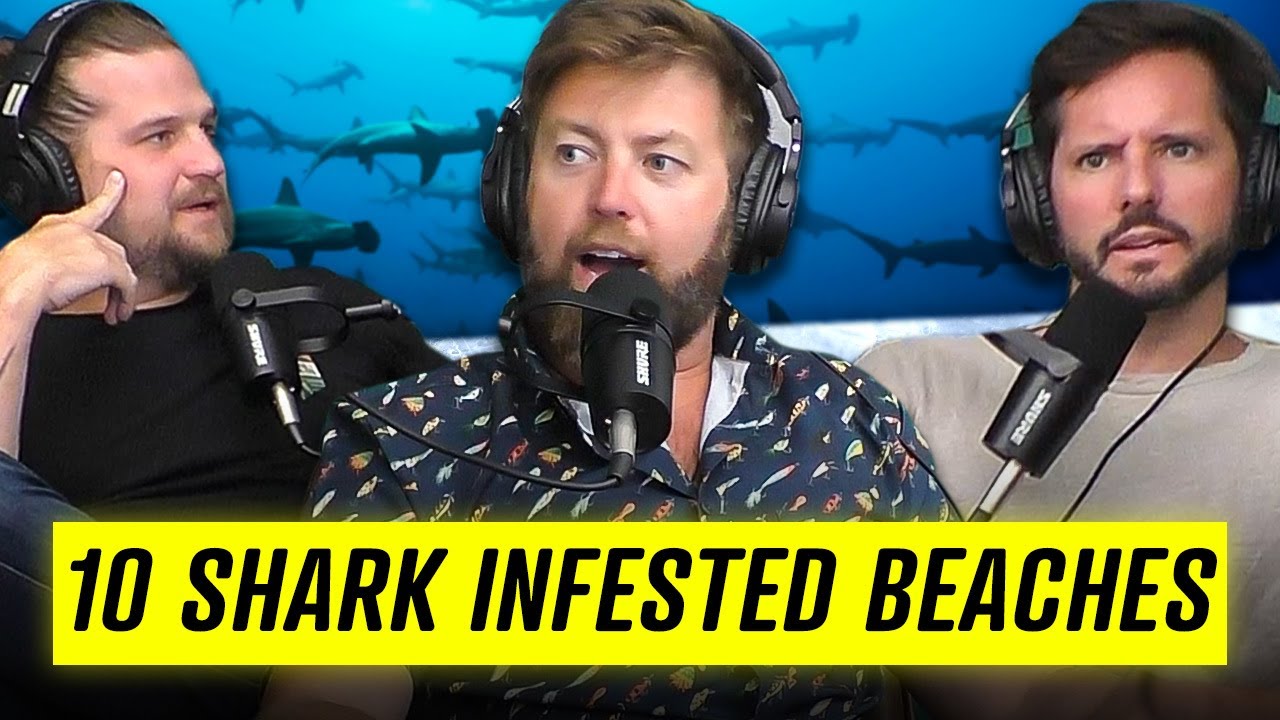 Avoid These 10 Shark Infested Beaches - The Wild Times Ep. 150
