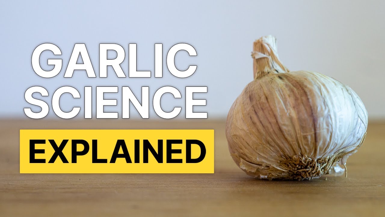 Everything you ever wanted to know about garlic