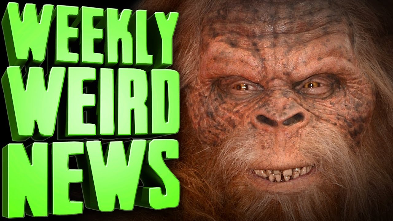 The FBI's Search For Bigfoot Revealed - Weekly Weird News
