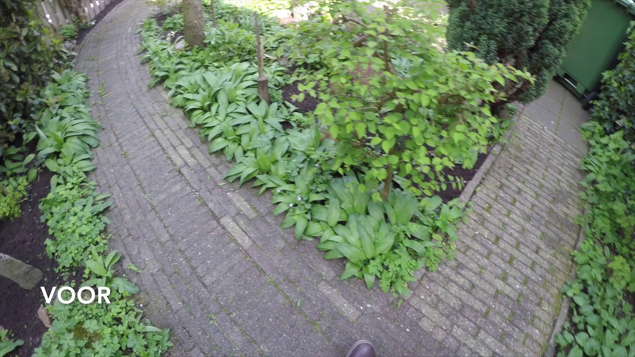 De Borstelman - Groene aanslag probleem op terrastegels verwijderen