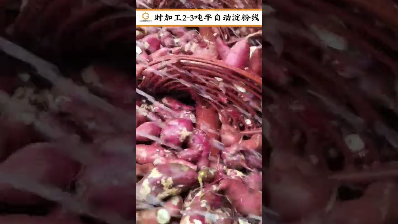 Automatic Sweet potato washing machine Cassava washing machine