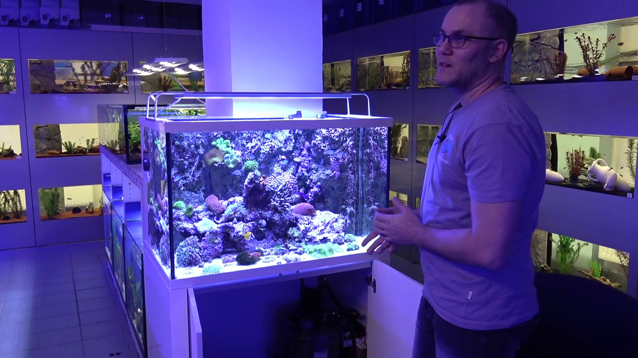 Hausbesuche: Meerwasser bei Fish and More im Siegerland