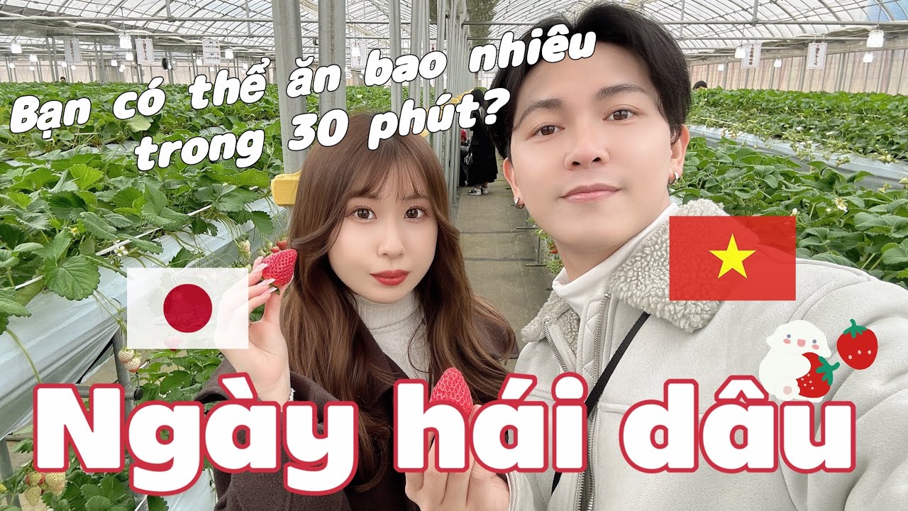 Dẫn vợ Nhật đi ăn dâu với Hot Youtuber #cặpđôiviệtnhật #vonhat #国際カップル #日越カップル #japan #vietnam