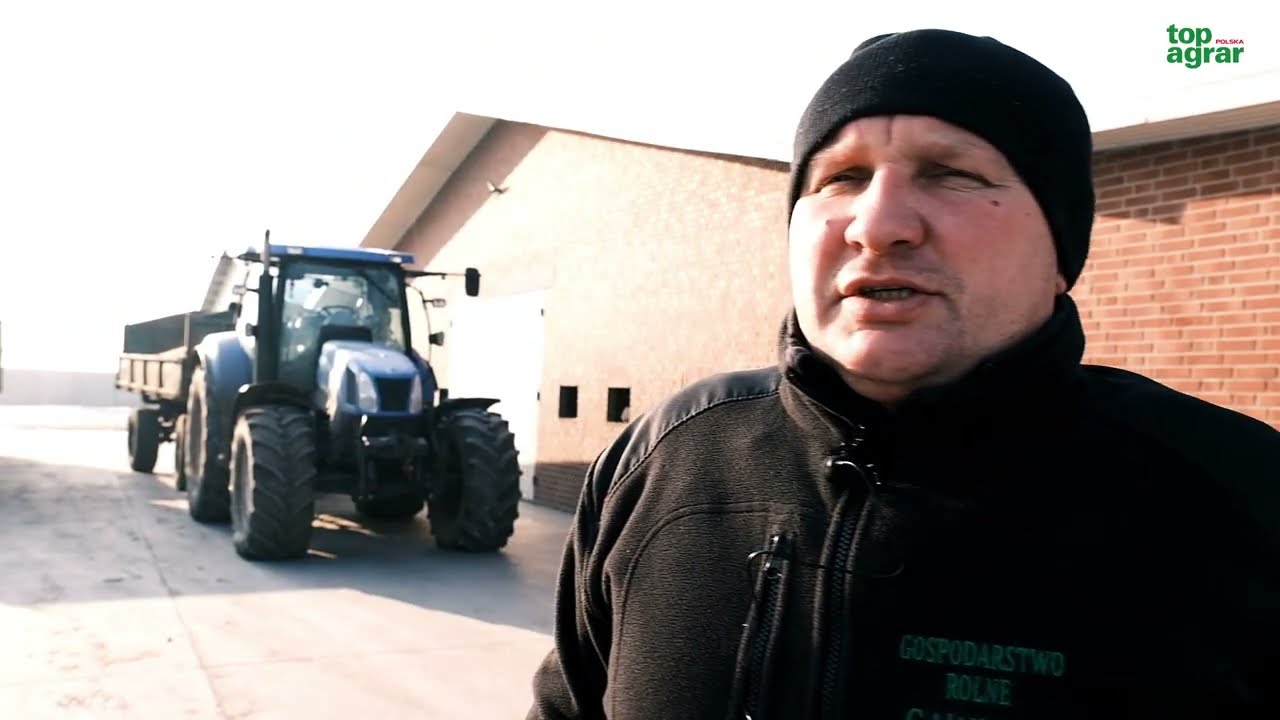 Opłacalność produkcji drobiu – oby ceny nie spadły…