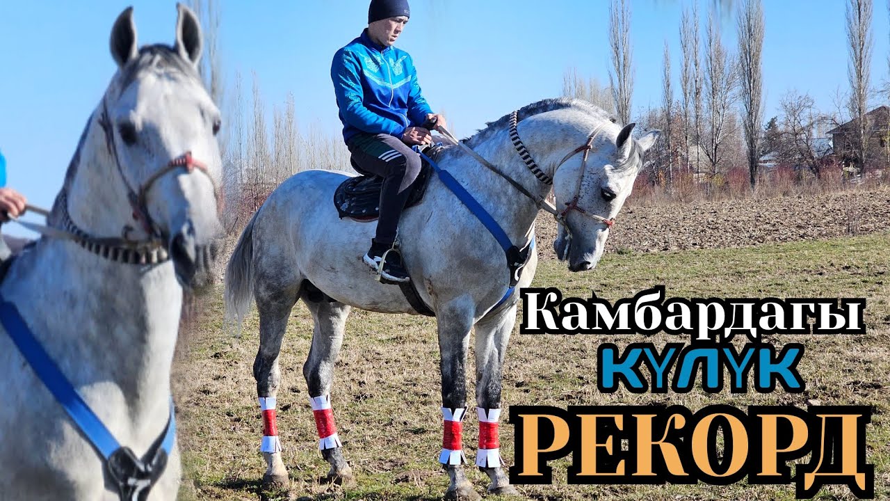 АраБдын каны бар РЕКОРД КАМБАРДАН