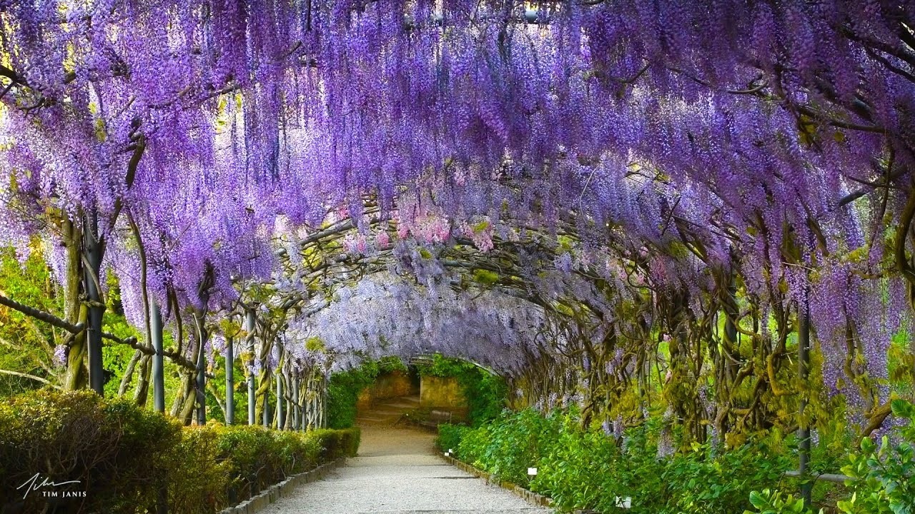 Beautiful Relaxing Music, 