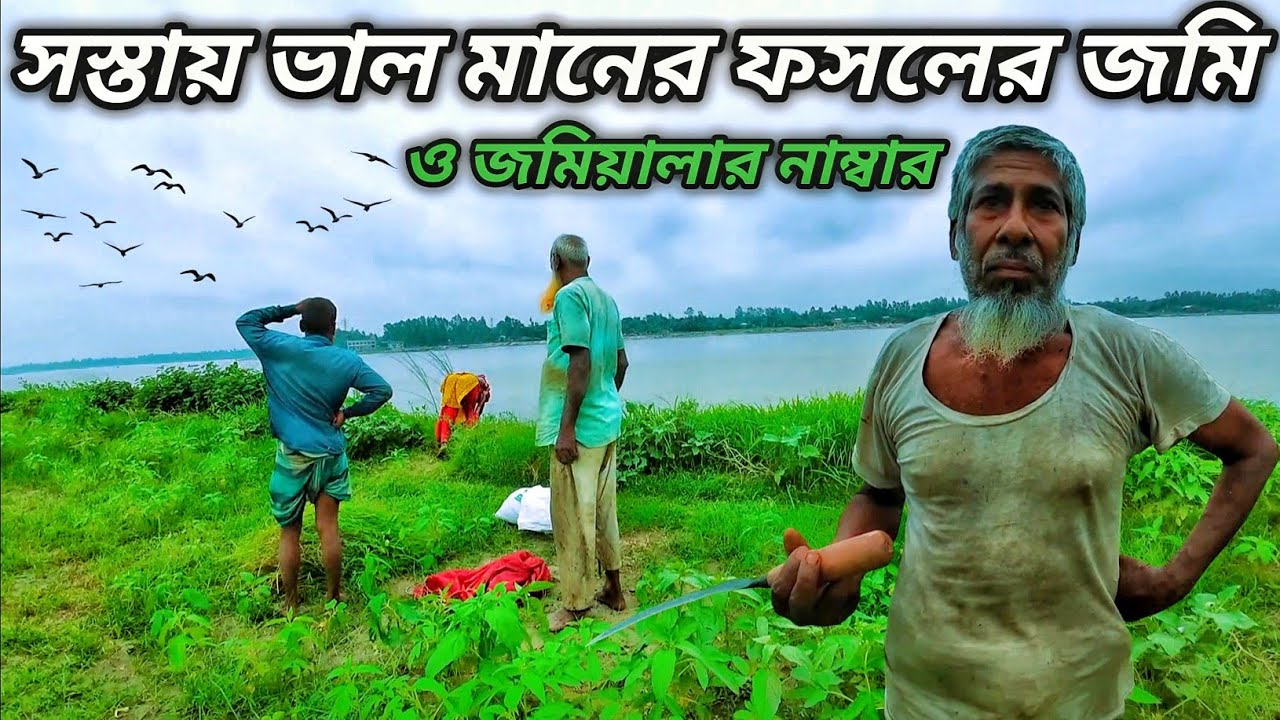 সস্তায় চাষাবাদের জমি কিনে খামার বাড়ি ও ফসল চাষাবাদ করতে পারেন | থাকছে মোবাইল নাম্বার | Grammo Jibon