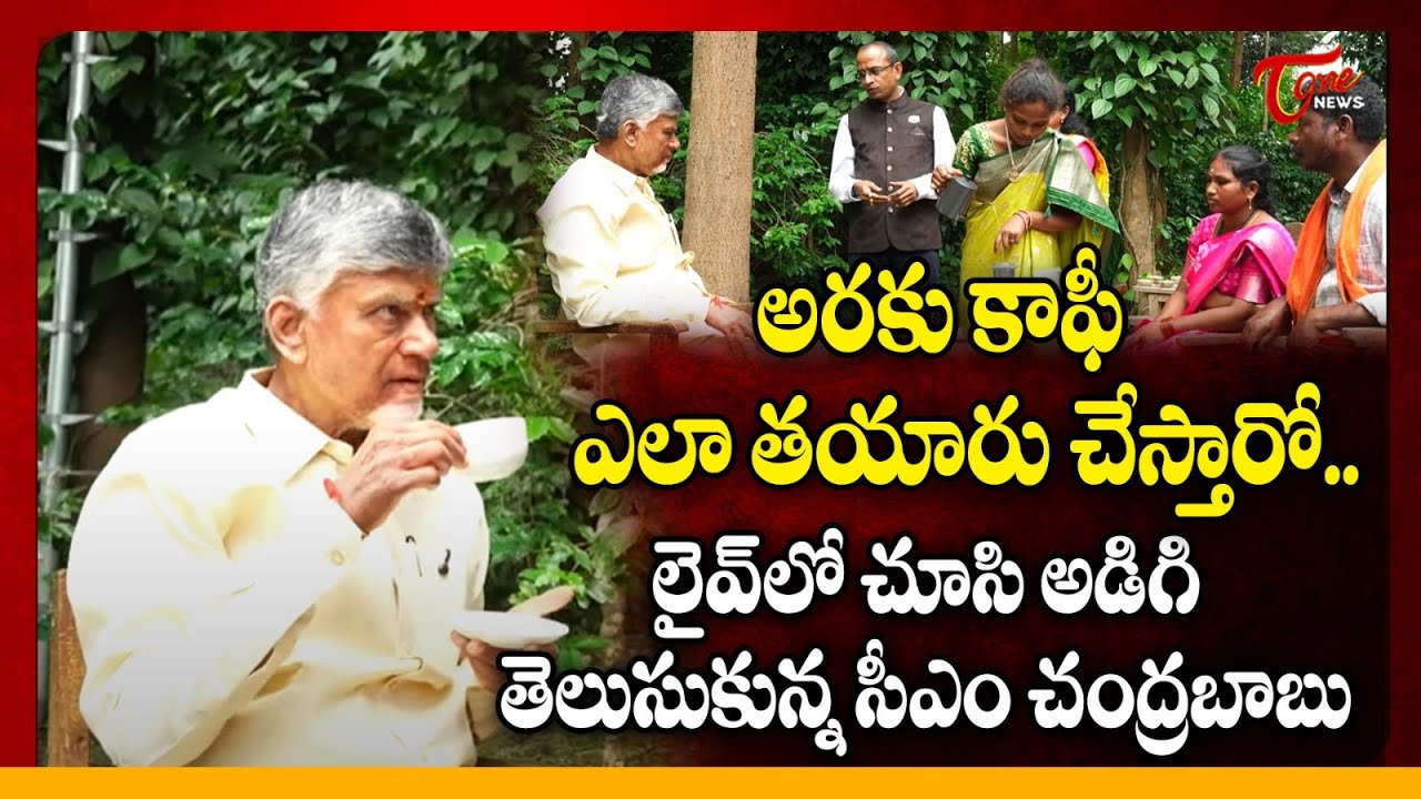 అరకు కాఫీ తాగిన సీఎం చంద్రబాబు | CM Chandrababu Drinks Araku Coffee | Paderu | Tone News