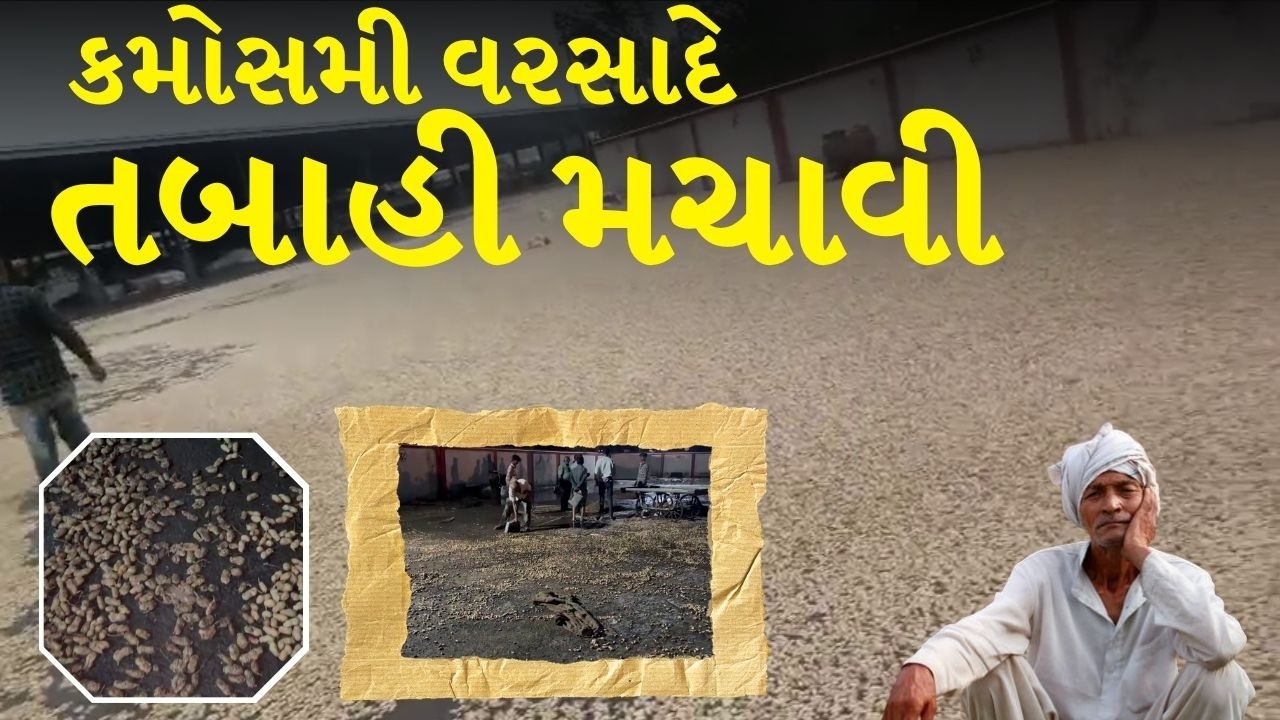 કમોસમી વરસાદે તબાહી મચાવી, જુઓ દ્રશ્યો LIVE