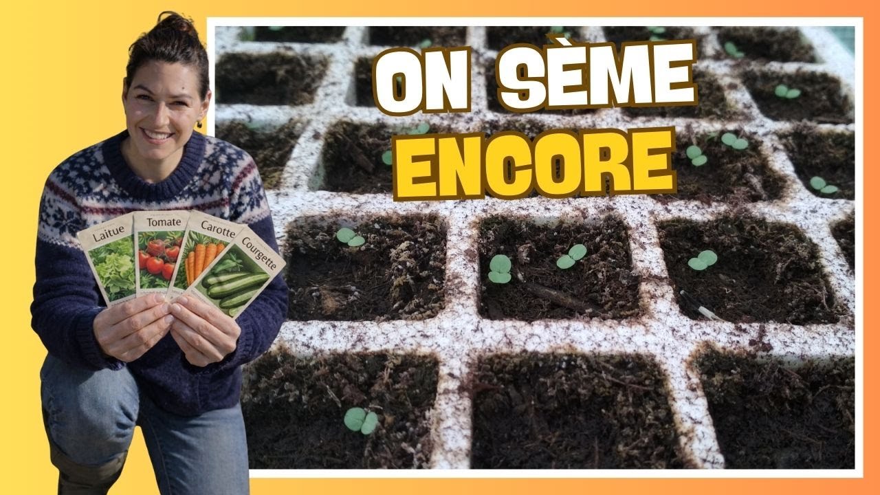 🌱 On sème encore en octobre-novembre !