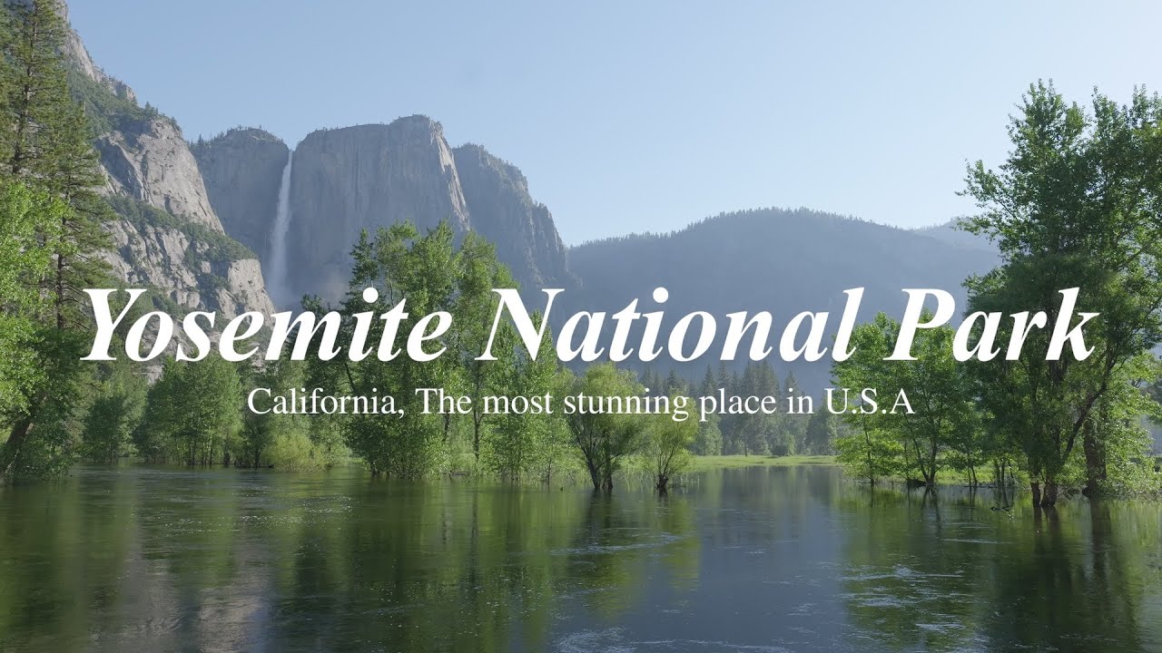 Cinematic Vlog｜アメリカで一番人気の絶景🇺🇸ヨセミテ国立公園｜カリフォルニア｜アメリカ観光