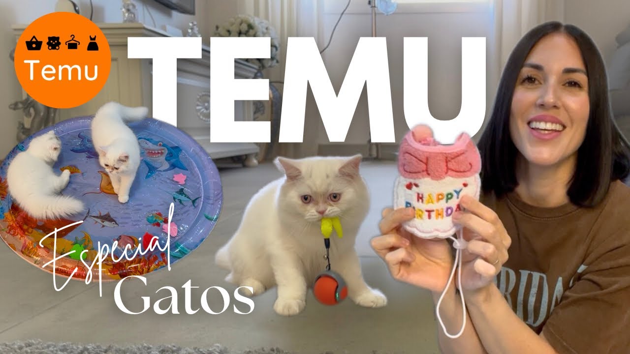 ✨Super HAUL de TEMU para mis GATOS 😺 ¡Se volvieron locos!