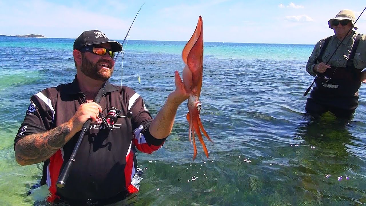 How to Catch Landbased Squid With Oz Fish TV  Using Black Magic Squid Snatchers