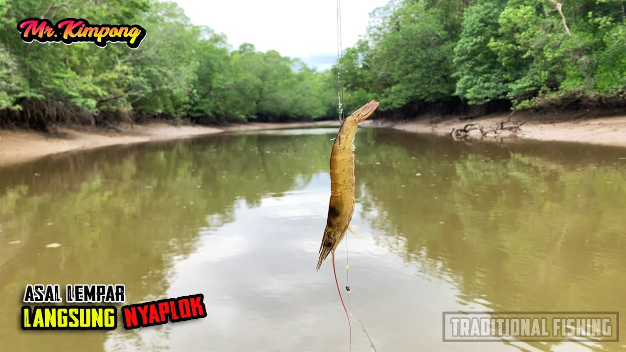 Remehkan Sungai Kecil❓Begini Cara Kami Temukan Spot Kakap Putih