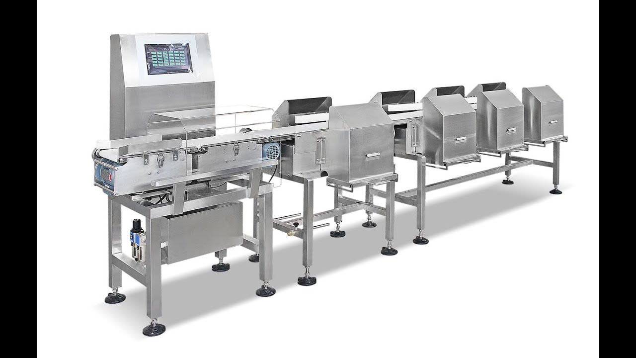 Toupack - Multiweight sorting machine for lobster