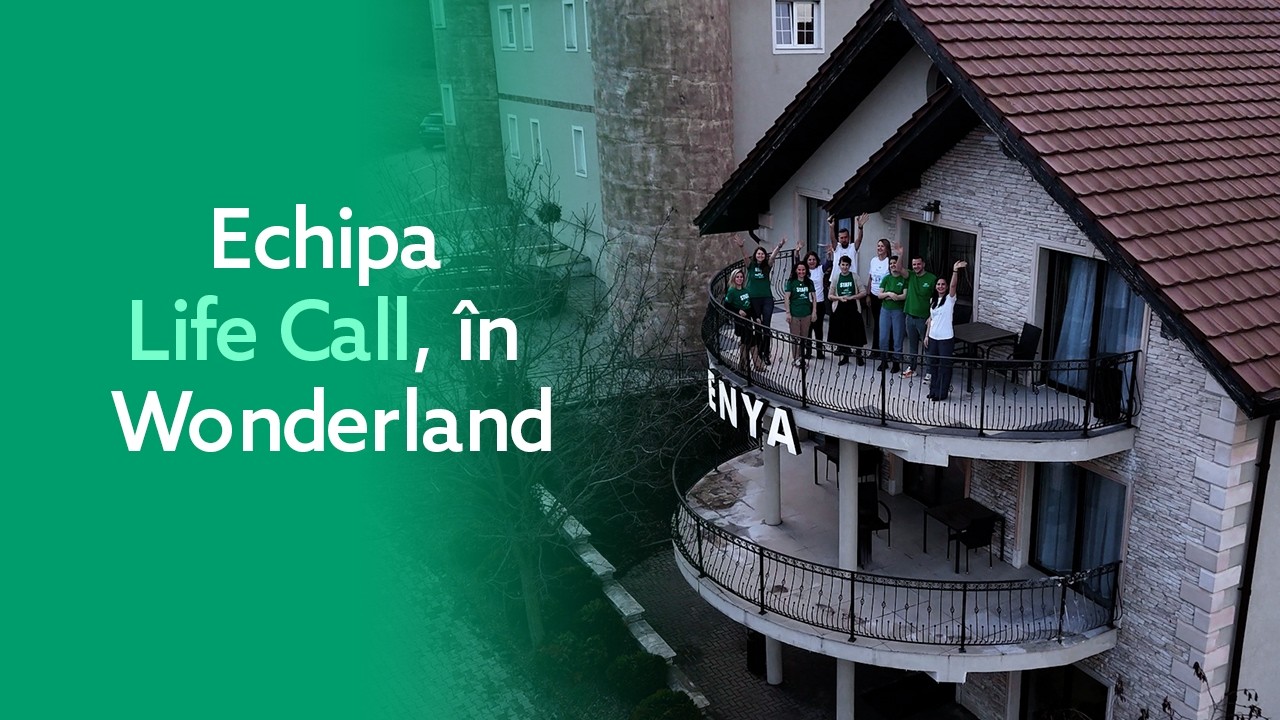 Am pus Viața la cale…în Wonderland💚 |Life Call strategy meeting 