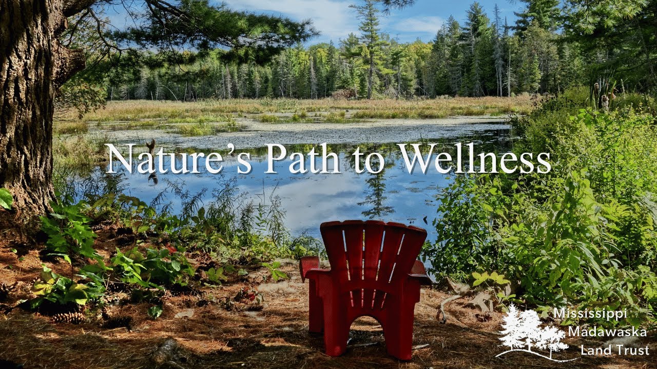 Nature’s Path to Wellness