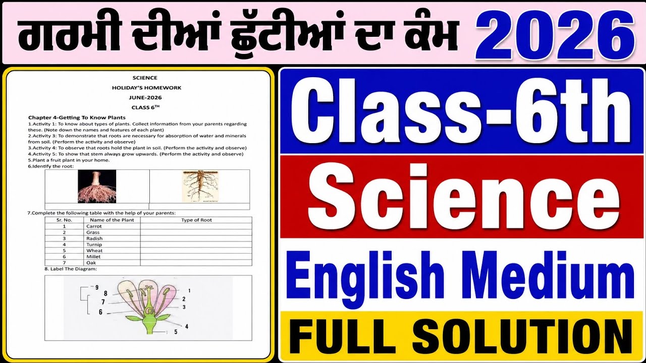 Pseb Class 6th science (English Medium) holiday homework Solution | pseb