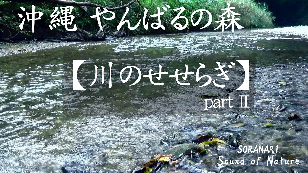 【 川のせせらぎ partⅡ/River sounds】沖縄 北部 やんばるの森 1時間／SORANARI Sound of Nature（リラックス／瞑想／睡眠／勉強）