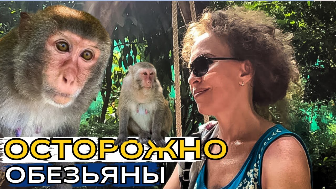 ВЬЕТНАМ: Нячанг Остров Обезьян и Остров Орхидей