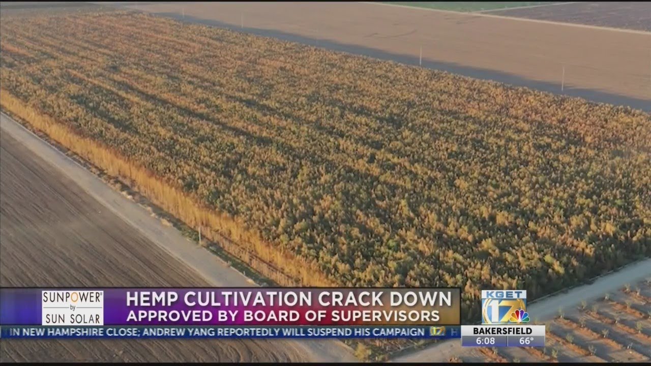 County approves hemp cultivation crackdown ordinance