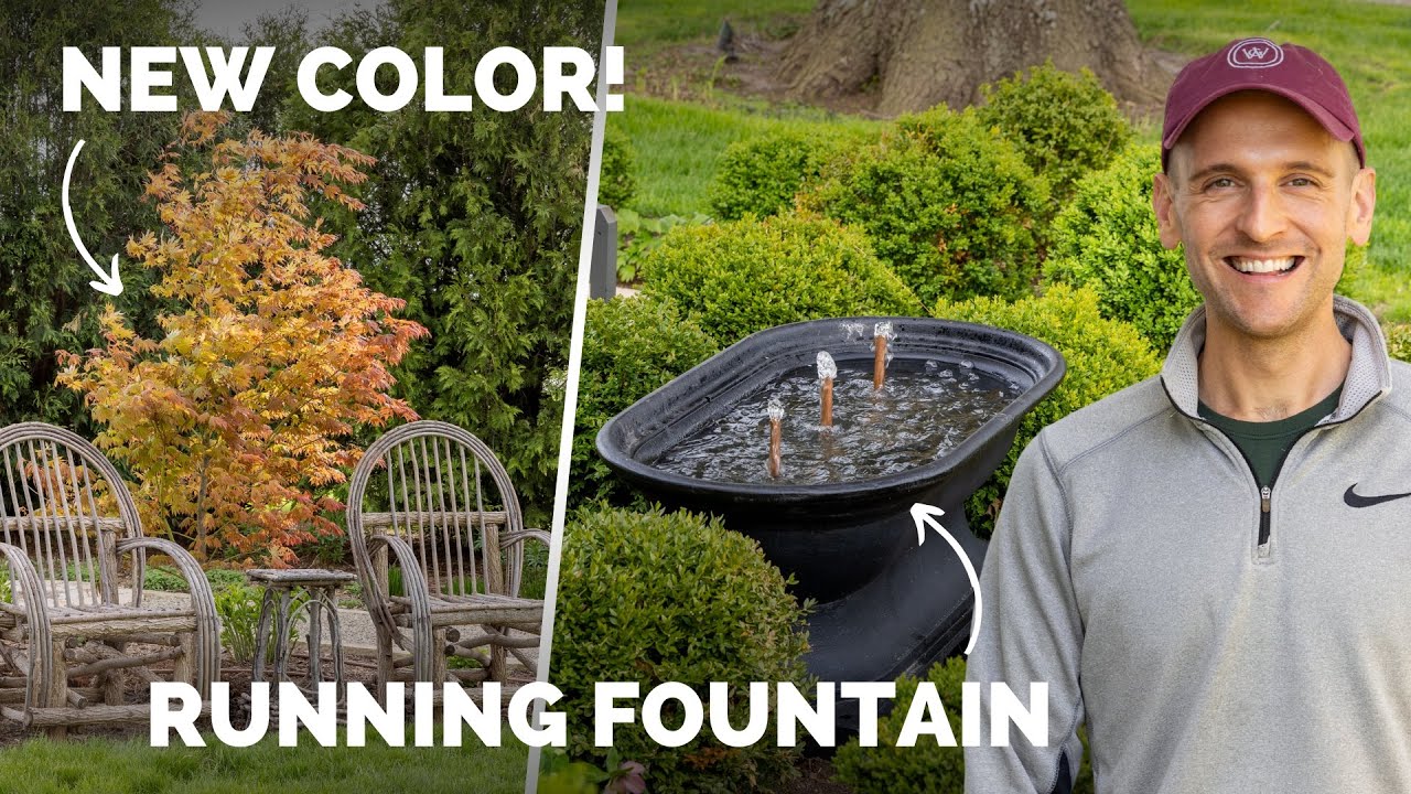 Planting a brightly colored new tree and getting the fountain up and running!