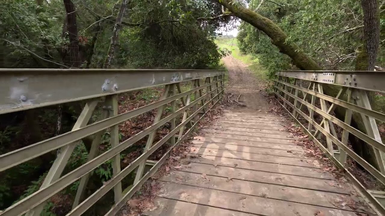 Hidden Peaceful Trail  Hike  - Scenic  Foothills California