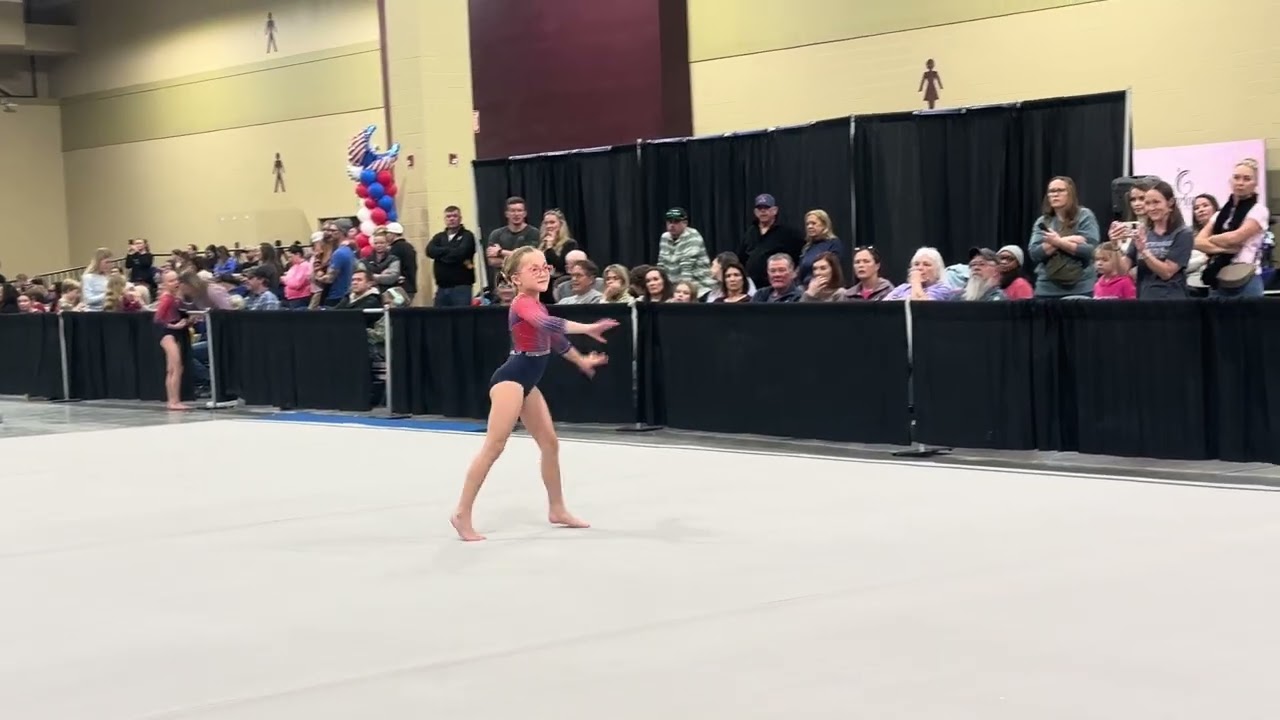 Babycakes Silver Floor 9.375 Palmetto 2026