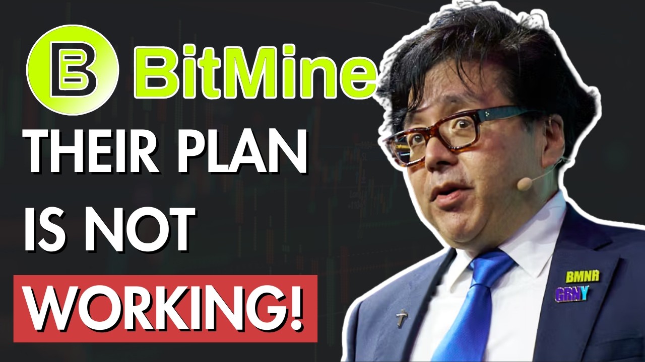 BMNR НЕ МОЖЕТ привлечь средства на покупку Ethereum! (Что будет ДАЛЬШЕ?!)