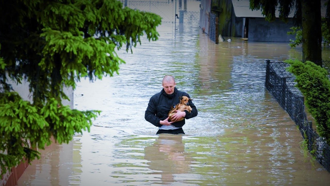 ZATRZYMAĆ FALĘ. Portugalska telewizja o powodzi w Sandomierzu