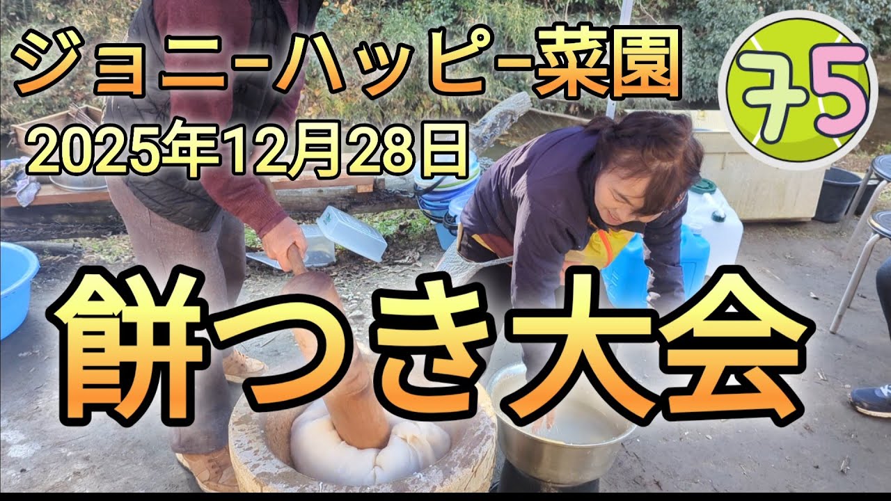 2026年1月3日