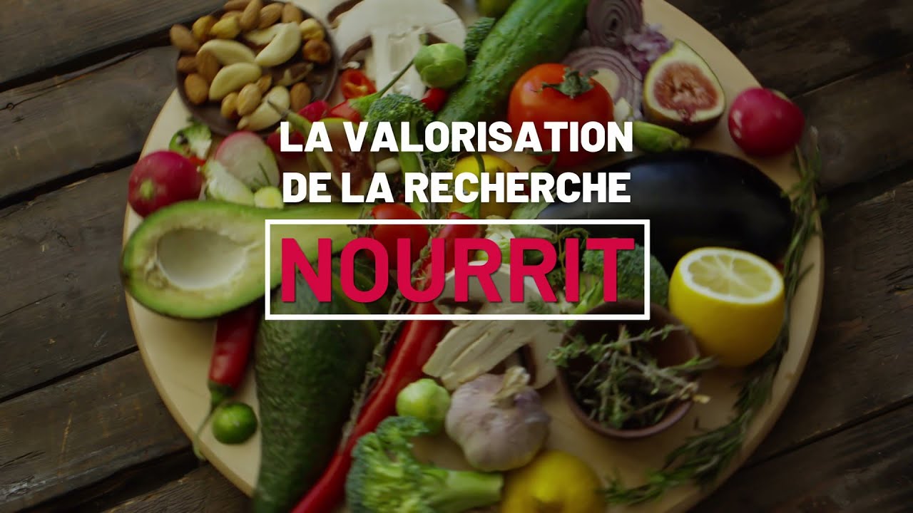 La valorisation de la recherche NOURRIT