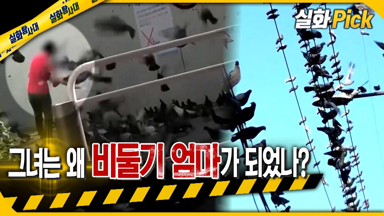[실화Pick] 그녀는 왜 비둘기 엄마가 되었나? #실화탐사대 #실화On MBC220707방송