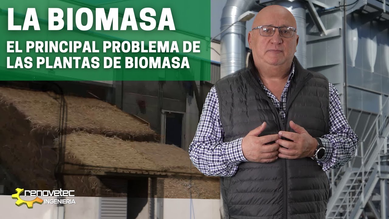 LA BIOMASA: EL PRINCIPAL PROBLEMA DE LAS PLANTAS DE BIOMASA