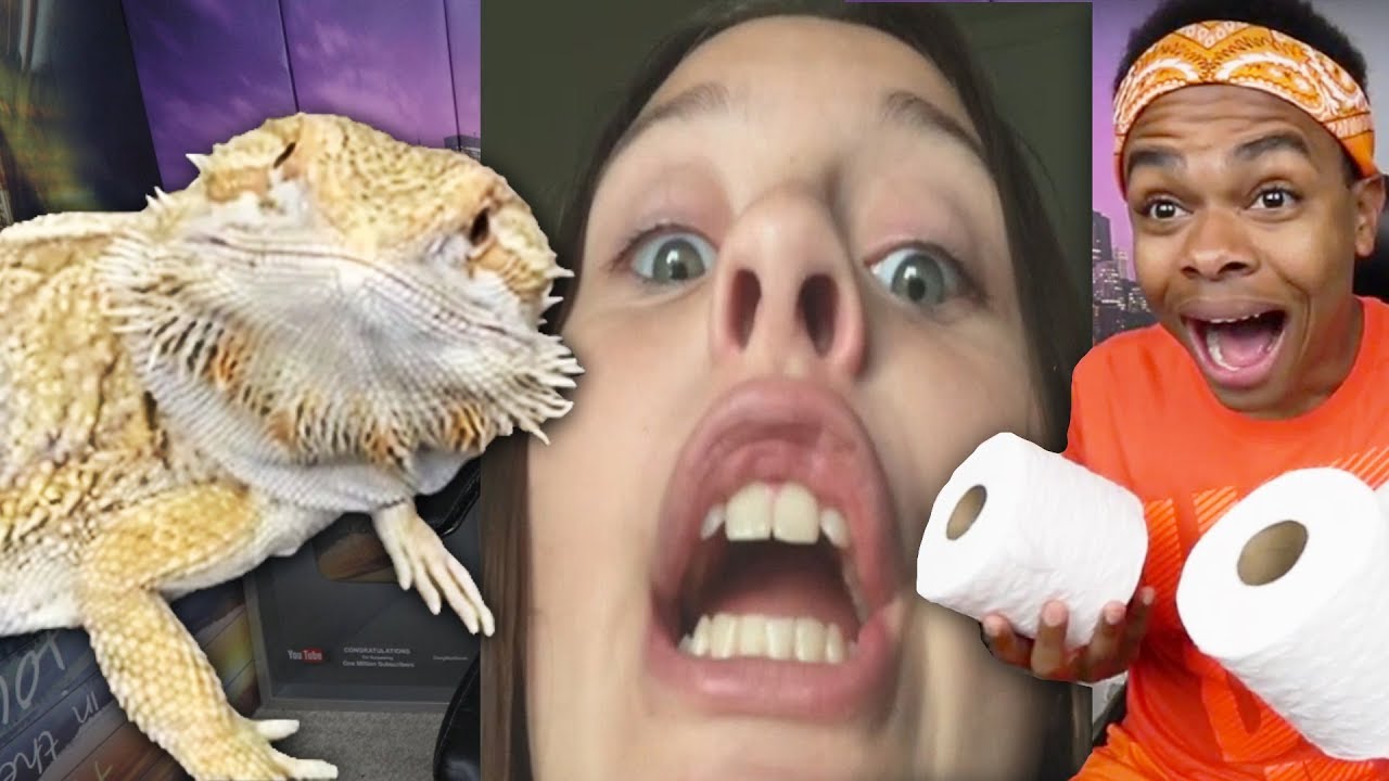 Trying Not To Laugh to Videos You Sent Me Challenge