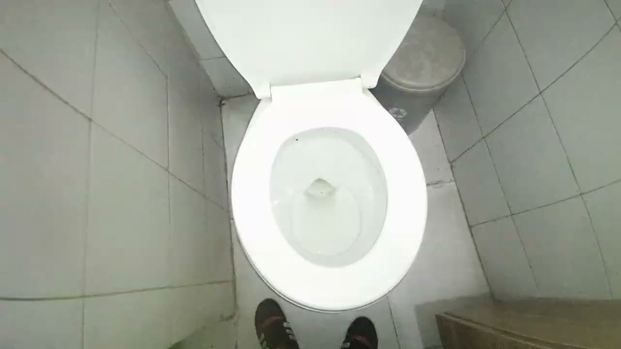Corona Happy toilet