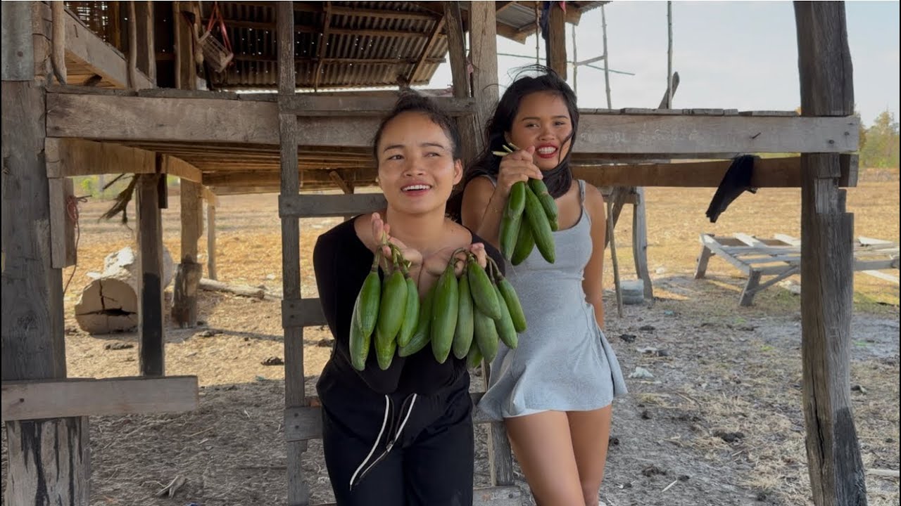 ກິນໝ້ຽງໝາກງິ້ວກັບມົດແດງ🇱🇦น้องสาวกลับจากไปเที่ยวอยากกินเมี่ยงหมากงิ้ว