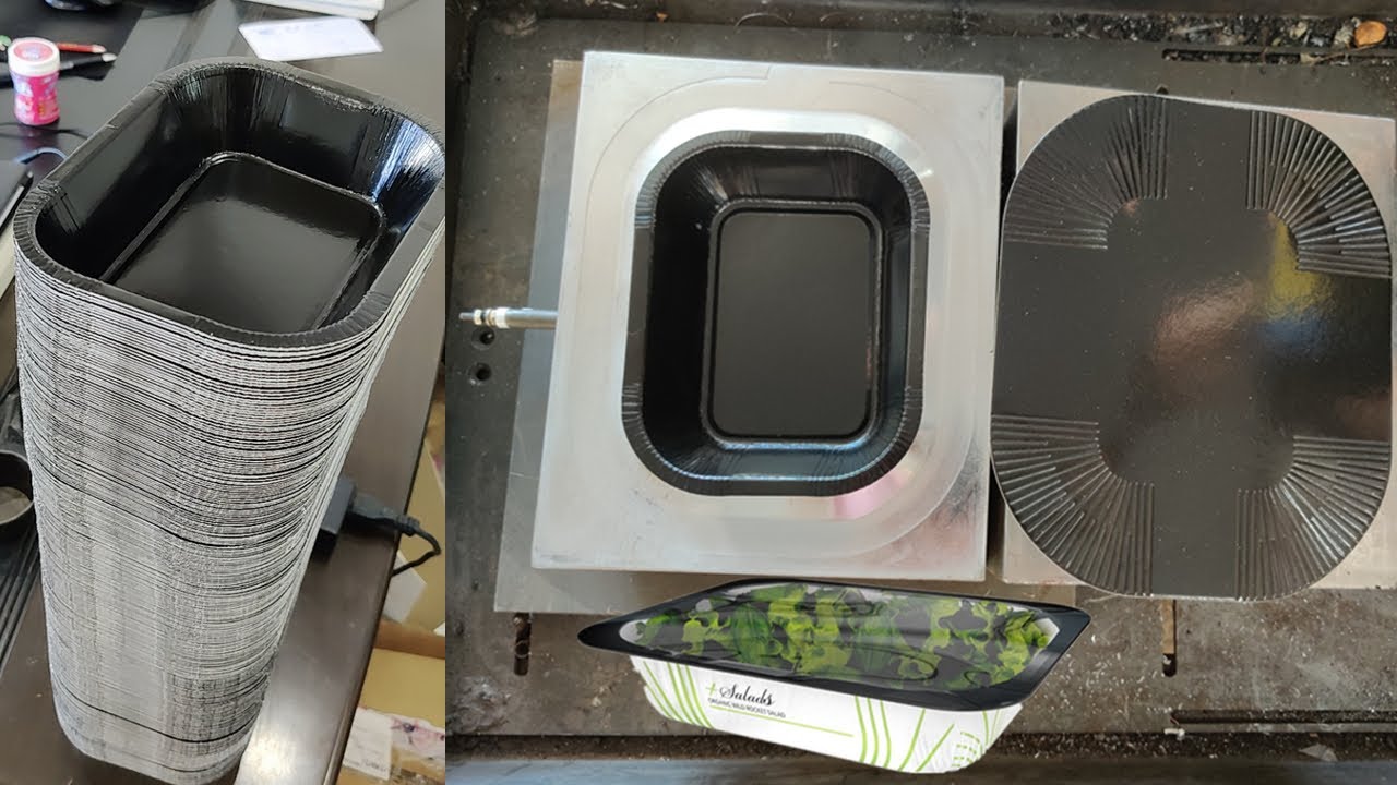 Naturapack Carton Food Containers Making machine ,2020 new Ideal packaging for fresh and frozen food