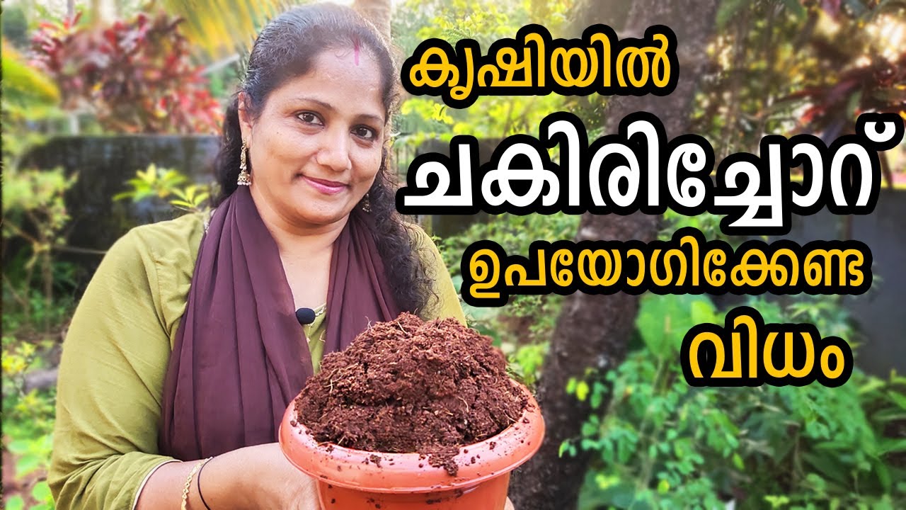 കൃഷിയിൽ ചകിരിച്ചോറ് ഉപയോഗിക്കേണ്ട വിധം | How to use Chakiri Choru (Coco peat) in Malayalam