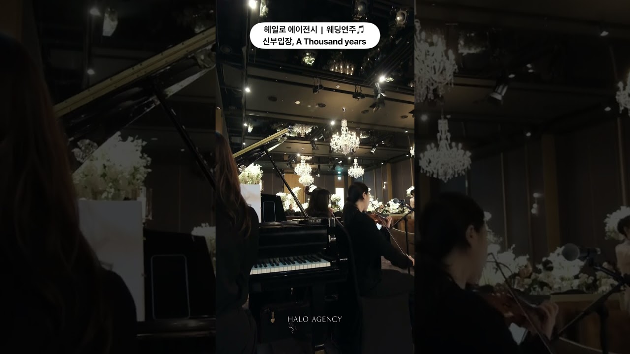 🎼 헤일로에이전시 : 웨딩연주ㅣ클래식3중주ㅣ웨딩선곡ㅣ웨딩연주베스트곡ㅣ신랑입장곡ㅣ신부입장곡