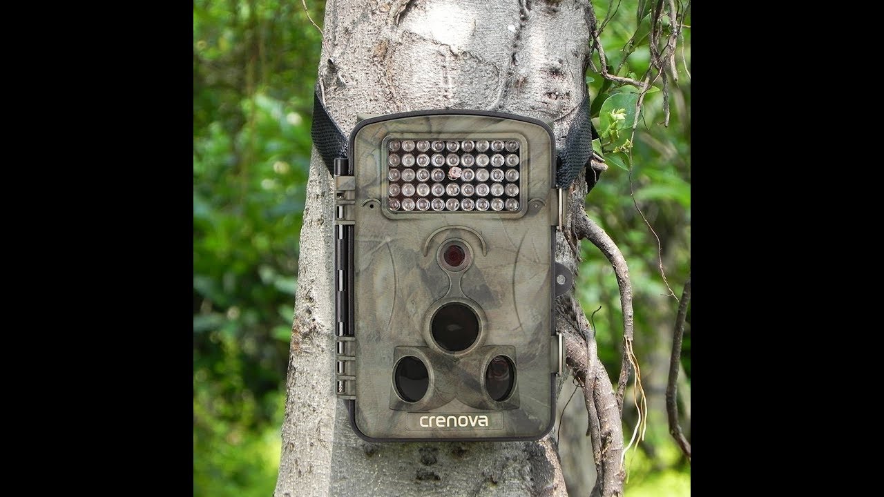Crenova 12MP 1080P Infrared Game & Trail Camera RD1000