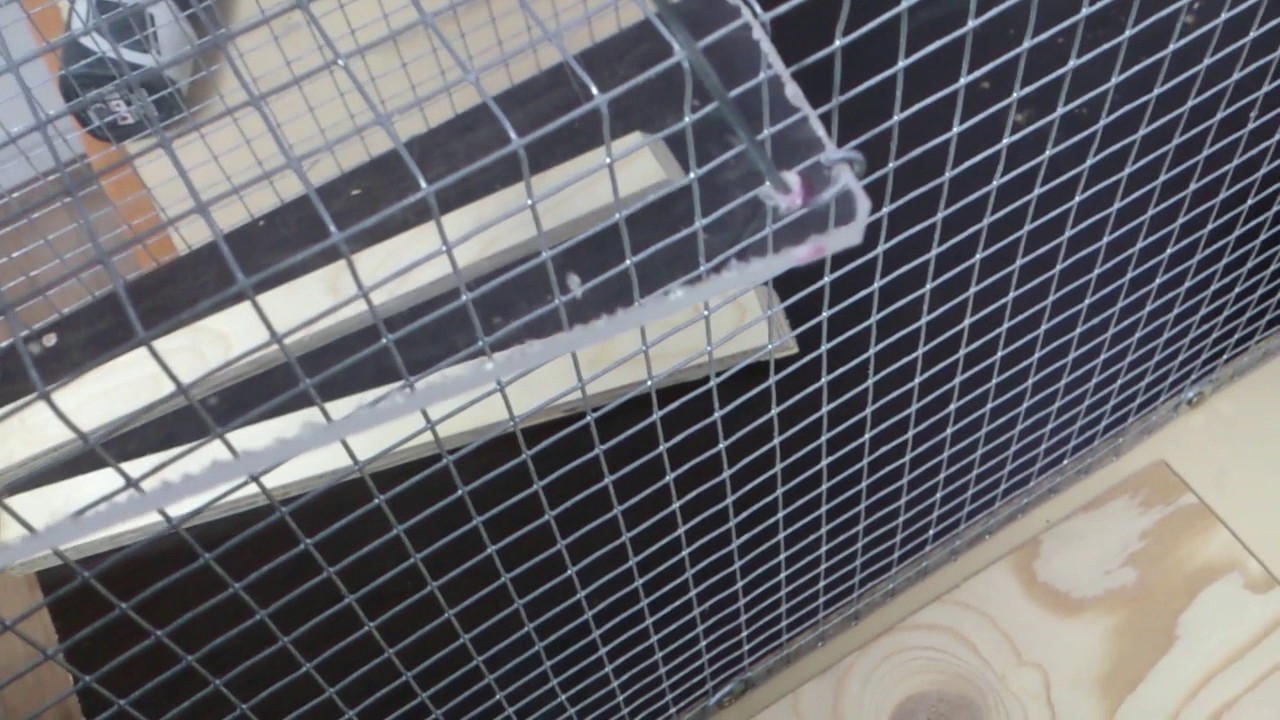 Jaula trampa para gatos , atrapar gatos
