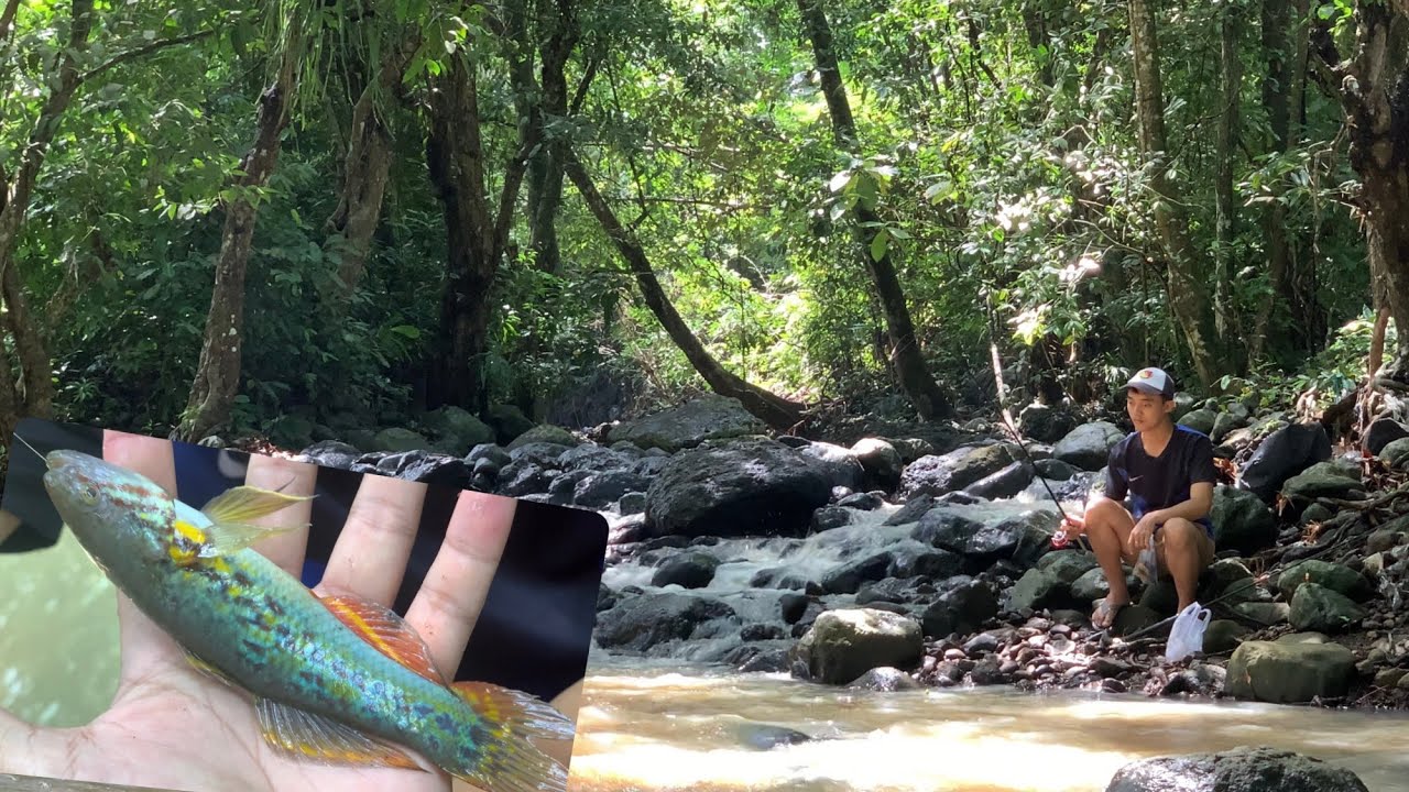 Full Sutrekk‼️Mancing Udang Dapat Ikan Langka🙀⁉️ #mancingceria #mancing #mancingudang #fishing #fun