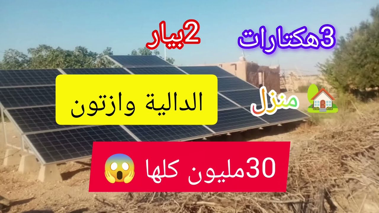 فيرمة 3هكتار بالدار والبيار البسان ومغروسة زتون ودالية كاملة 30مليون كلها 060634847752