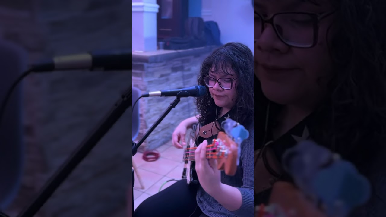All Rollers (cover)  Pumped Up Kicks           Foster the people 