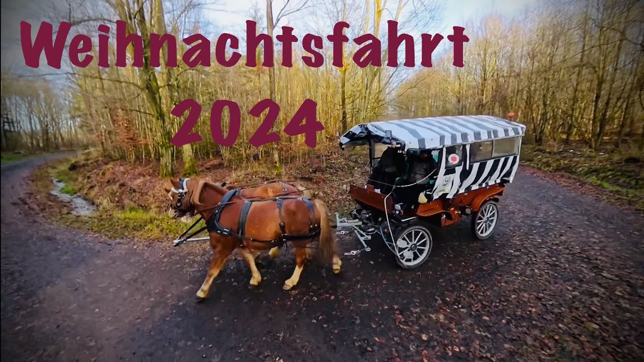 HE Kutschfahrten Weihnachtstour 2024 durch den Vogelsberg