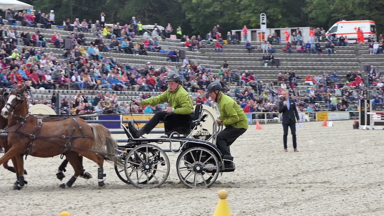 Hengstparade Marbach 26.09.2021