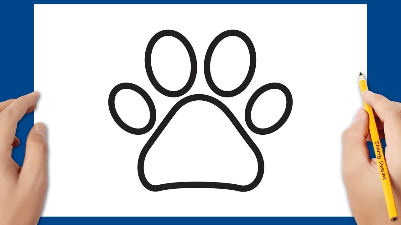Comment dessiner une patte de chat