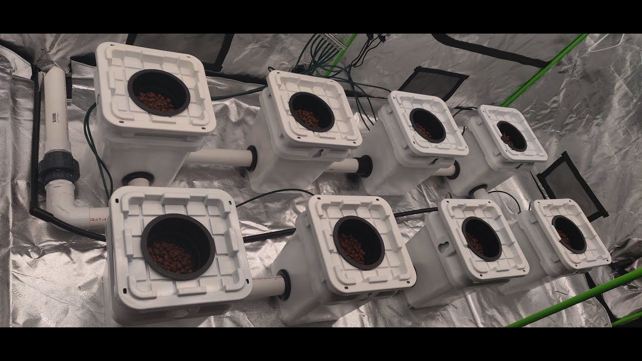 Full 4x8 grow tent RDWC setup. Using 8 5 Gallon buckets FULL DIY hydroponics video.