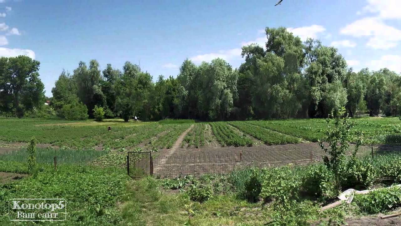 Конотоп, Підлипне 